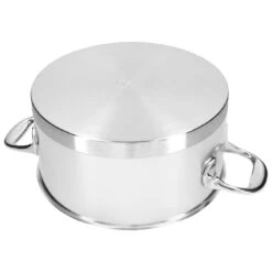 Demeyere 22 Cm 18/10 Stainless Steel Stew Pot With Lid Silver -Demeyere Shop 000024640