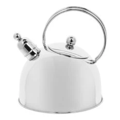 Demeyere 20 Cm 18/10 Stainless Steel Kettle Silver